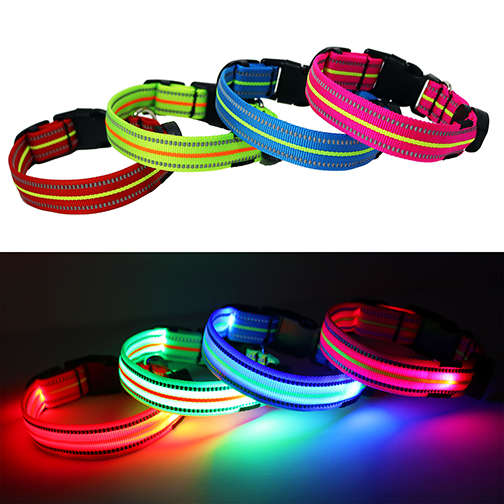 Neon LED Light Up Dog Collar | Bright & Reflective