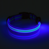 Blue LED Dog Collar turned on lighting up in dark room