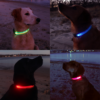 Picture of 4 different dogs wearing LED dog collars on the beach