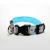 Product view of buckle, adjustment, and tag ring on white and blue nautical dog collar