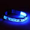 Blue LED light up dog collar in dark room with sailboat and anchor design