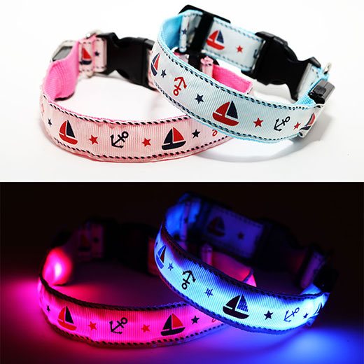 Nautical LED Light Up Dog Collar (Rechargeable)