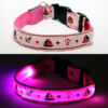 Pink LED Dog Collar On and Off