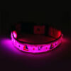 Pink LED Dog collar with red and blue sailboard and anchors lighting up in dark room