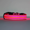 Reflective Pink LED Dog Collar