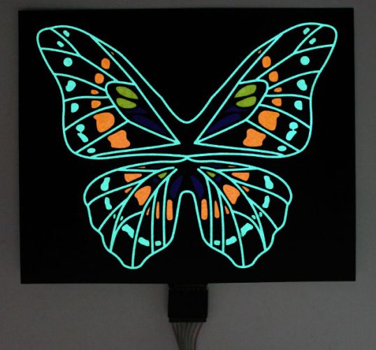 Butterfly Example of EL Panel