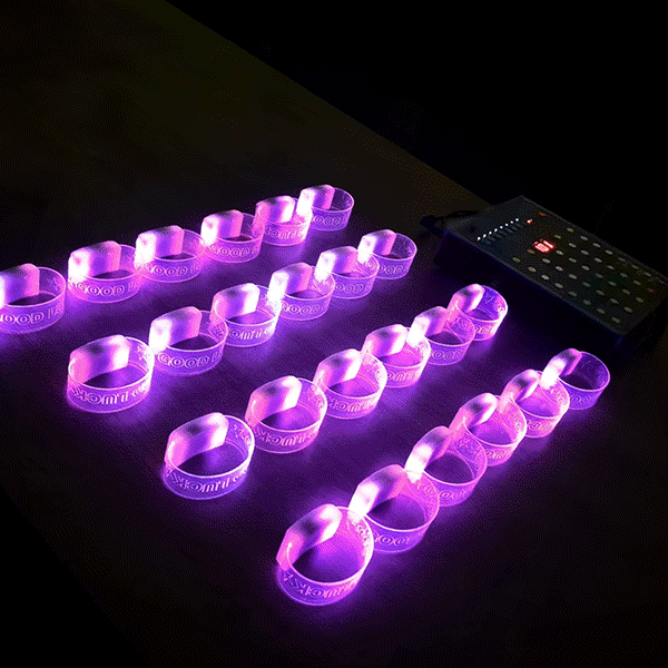 Remote Controlled XL Magnetic LED Wristbands