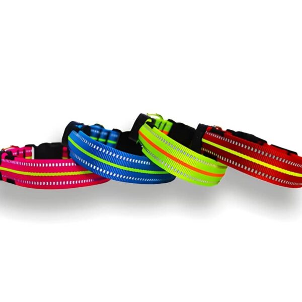 Neon LED Light Up Dog Collar | Bright and Reflective - Image 4