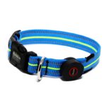 Neon LED Light Up Dog Collar | Bright and Reflective - Image 19