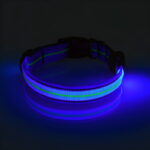 Neon LED Light Up Dog Collar | Bright and Reflective - Image 11