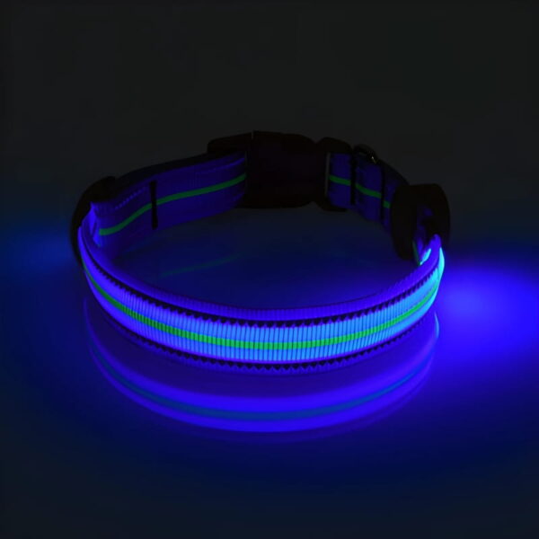 Neon LED Light Up Dog Collar | Bright and Reflective - Image 11