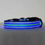 Neon LED Light Up Dog Collar | Bright and Reflective - Image 15