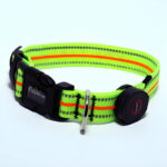 Neon LED Light Up Dog Collar | Bright and Reflective - Image 20