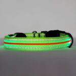 Neon LED Light Up Dog Collar | Bright and Reflective - Image 16