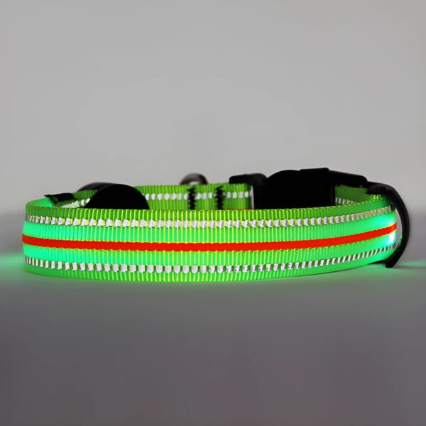 Neon LED Light Up Dog Collar | Bright and Reflective - Image 16