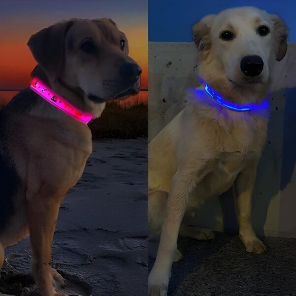 Nautical LED Light Up Dog Collar (Rechargeable) - Image 2