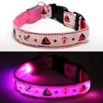 Nautical LED Light Up Dog Collar (Rechargeable) - Image 3