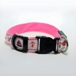 Nautical LED Light Up Dog Collar (Rechargeable) - Image 9