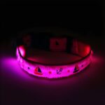 Nautical LED Light Up Dog Collar (Rechargeable) - Image 7