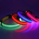 Neon LED Light Up Dog Collar | Bright and Reflective - Image 3