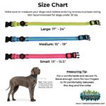 Neon LED Light Up Dog Collar | Bright and Reflective - Image 5