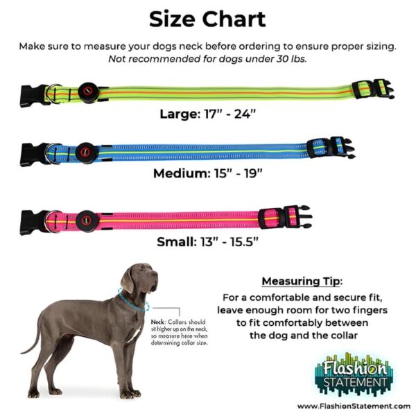 Neon LED Light Up Dog Collar | Bright and Reflective - Image 5