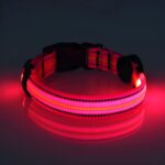 Neon LED Light Up Dog Collar | Bright and Reflective - Image 10