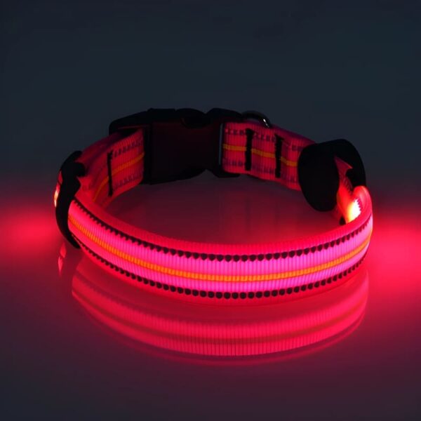 Neon LED Light Up Dog Collar | Bright and Reflective - Image 10