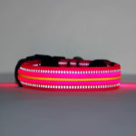 Neon LED Light Up Dog Collar | Bright and Reflective - Image 14