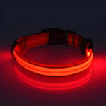 Neon LED Light Up Dog Collar | Bright and Reflective - Image 13