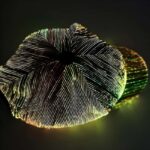 LED Fiber Optic Hat - Image 5